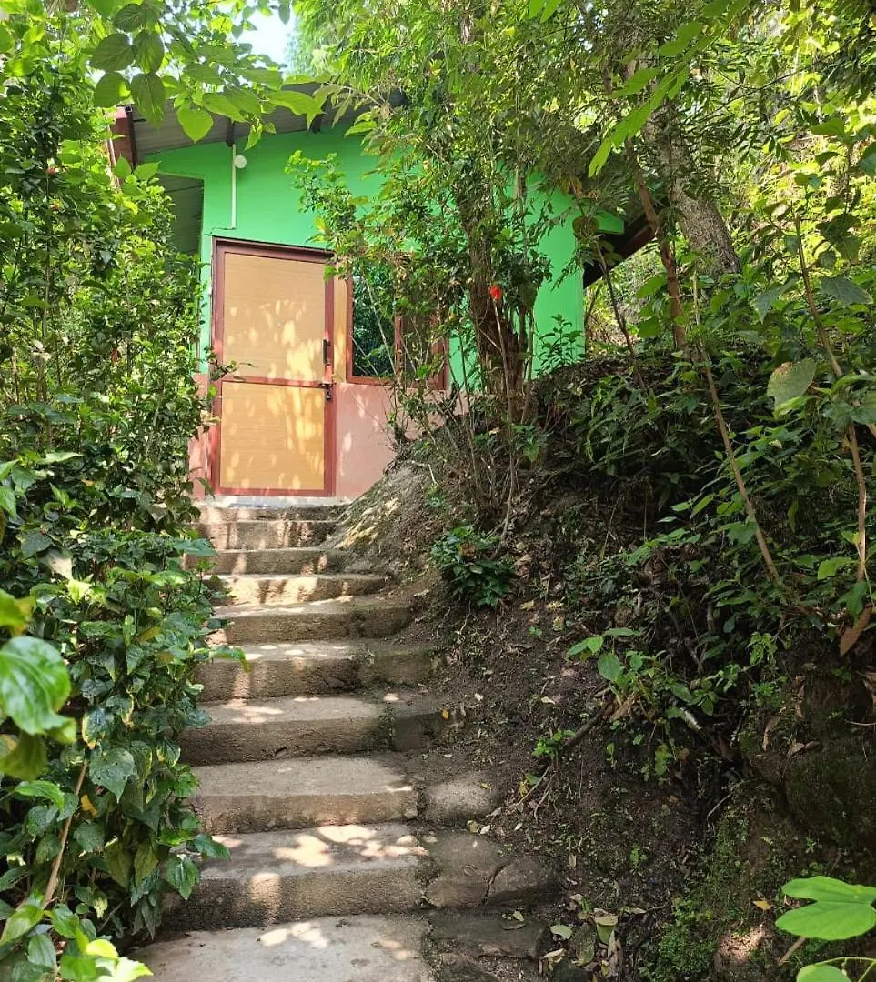 Treez Resort Kathmandu